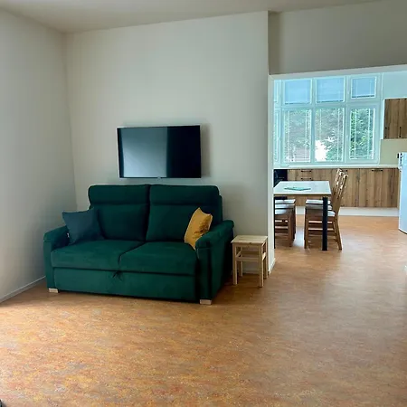 Silva Apartment *