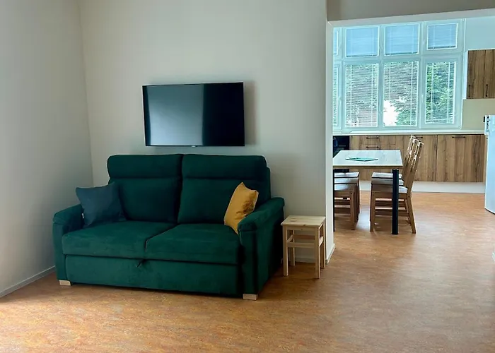 Silva Apartment *